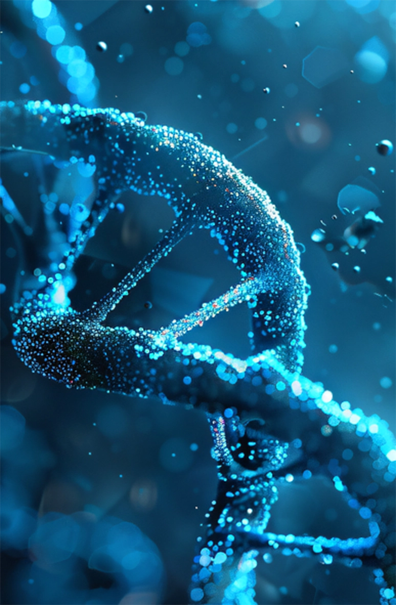 Exhibition Highlights