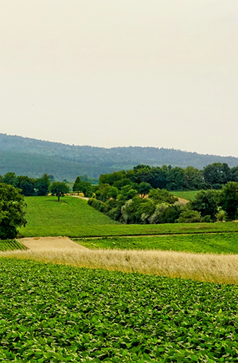 Exhibition Highlights